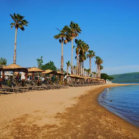 Parmos * 에르데크