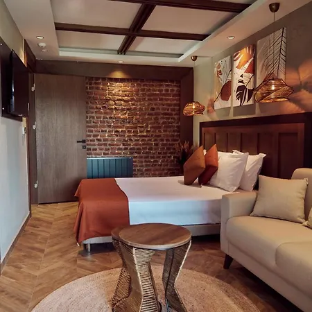 Hotel Parmos *
